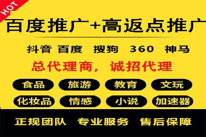 百度竞价排名案例解析：如何快速提升网站流量